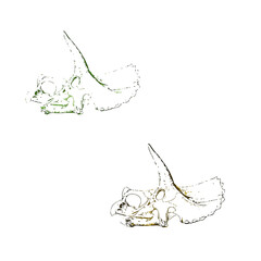 Pair of triceratops dinosaur skull illustrations in green with triceratops © sadashiv