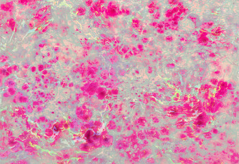 Obraz premium Abstract vibrant magenta and mint green fluid art background with detailed cellular marble texture.