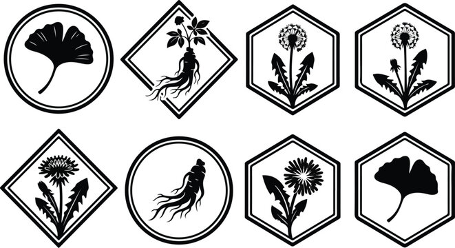 Botanical geometric label badges set with ginkgo ginseng and dandelion