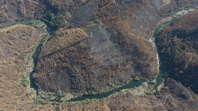 Aerial view of a river winding through a canyon with scorched vegetation and charred trees following a summer wildfire, featuring power lines crossing the landscape in Portugal.