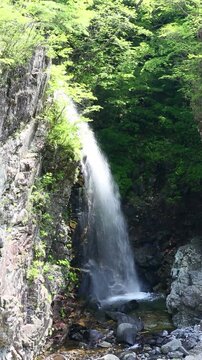 新緑と滝