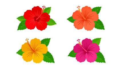 Set of colorful hibiscus flowers with green leaves on white © raqib