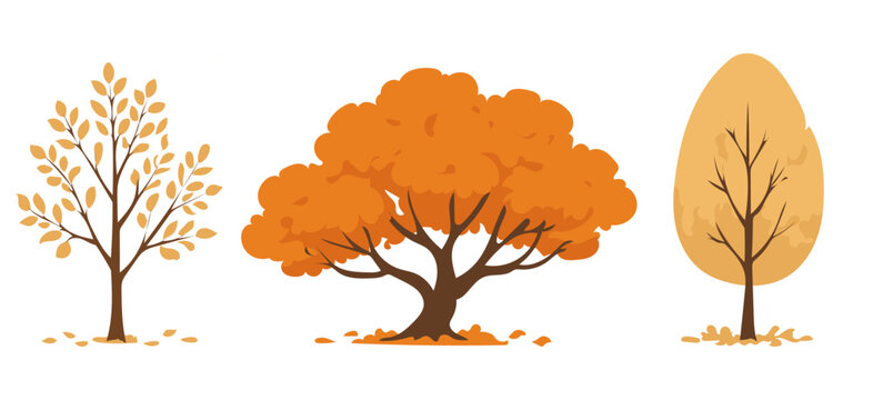 Set of autumn trees in fall colors. Vector illustration collection of forest and park enviroment element