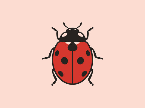 A red ladybug illustration on a soft pink background