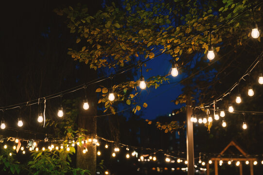 Glowing festive garland bulbs create cozy ambiance