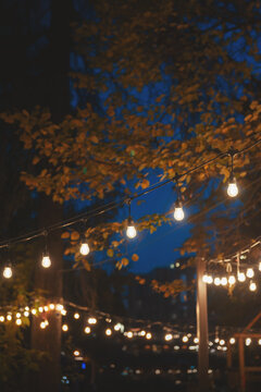 Glowing festive garland bulbs create cozy ambiance