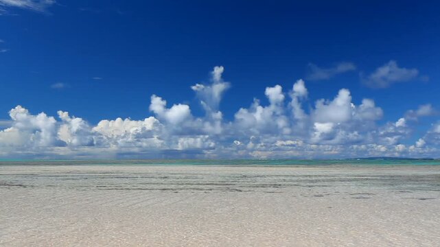 百合ケ浜と積乱雲