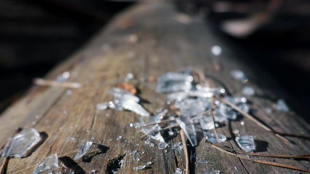 Shattered glass shards rest upon a textured forest log while captured with extreme macro focus highlighting sharp edges. Concept of environmental pollution and nature damage.