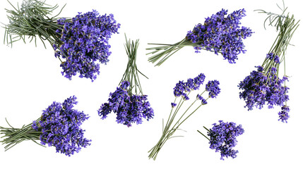 Purple lavender flower bouquets and sprigs © Lubos