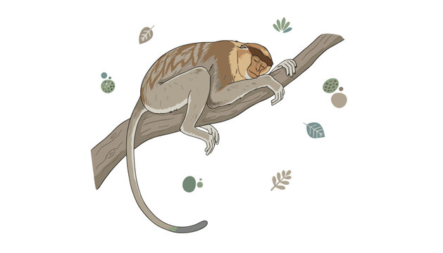 Sleeping monkey perched on a tree branch with gentle decorative leaves in a calm cartoon art style perfect for relaxation or nature themes.