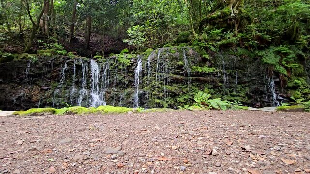 神奈川県箱根で撮影した千条の滝