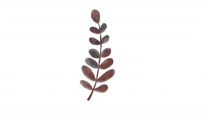 Watercolor floral with minimalist brown grey leaf botanical stem, suitable for stationery, prints, decor, and nature themed designs.
