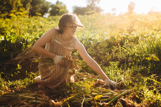 Woman harvesting organic onions in home garden