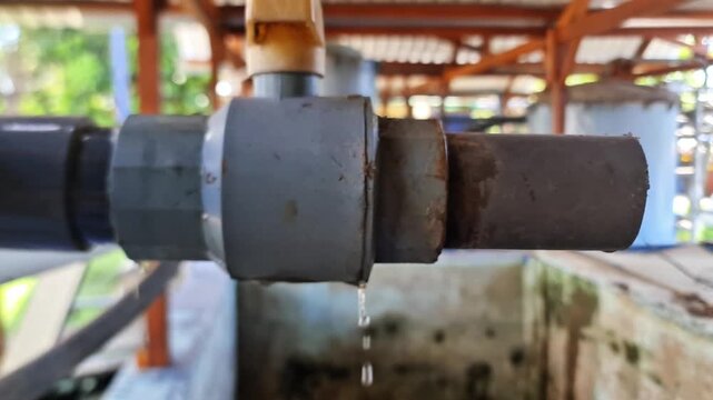 Sidoarjo, Indonesia - 26 June, 2026: Close Up of an Old Leaking PVC Pipe Union Fitting and Valve with Dripping Water