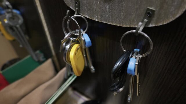 Close-up of several key rings featuring metal keys and colorful plastic fobs hanging from hooks on a dark wooden cabinet door. Concept of home security, organization, and access control.