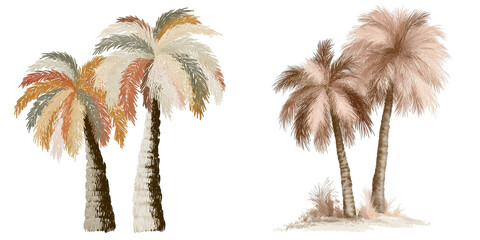 Obraz premium Boho palm tree pastel palm leaf tropical tree desert plant abstract foliage warm color neutral tone hand painted clip art minimal design boho palm tree pastel palm leaf tropical tree desert plant