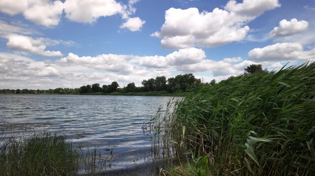 Cinematic 4K nature footage. Lush green leaves frame a tranquil river under a blue sky with clouds. A gentle breeze moves foliage, captured at 24fps with natural motion blur. 