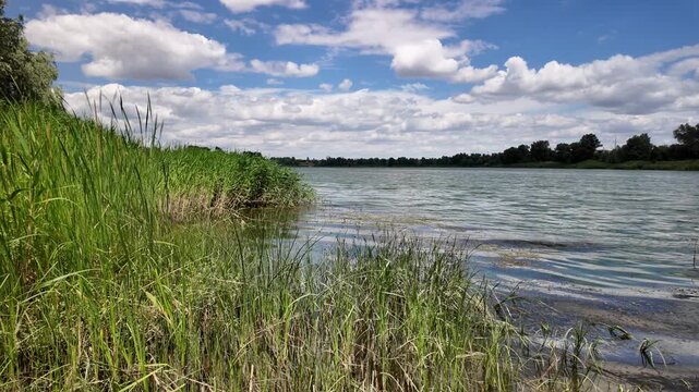 Cinematic 4K nature footage. Lush green leaves frame a tranquil river under a blue sky with clouds. A gentle breeze moves foliage, captured at 24fps with natural motion blur. 