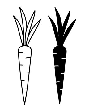 Salsify minimalist icon, in outline and silhouette designs for food themes