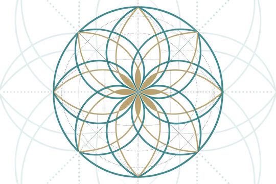   
Sacred geometry flower of life pattern with teal and gold overlapping circles symbolizing harmony balance and spiritual connection in minimalist geometric design   generative ai