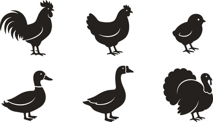 Farm Poultry Bird Black Silhouette Icon Set with Rooster Hen Chick Duck Goose and Turkey Symbols for Agricultural Branding Butcher Shop and Livestock Graphic Designs © MdSifat