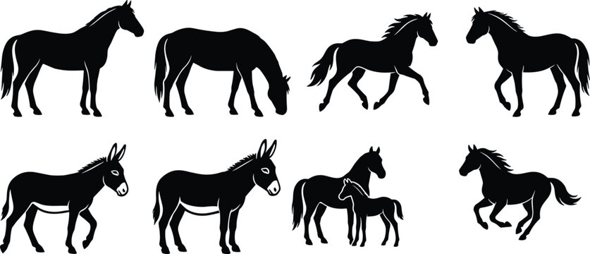 Comprehensive collection of black horse silhouettes featuring grazing running and walking poses including a mare with foal and donkey isolated on white background