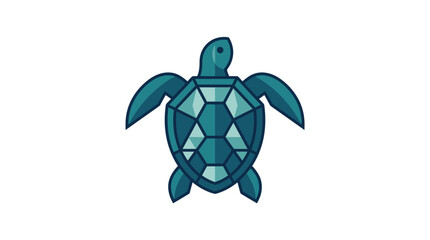 Teal turtle shell with fins up. © Iffa