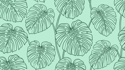 A hand drawn leaf pattern illustration of various monstera leaves on a mint green background © Crushin