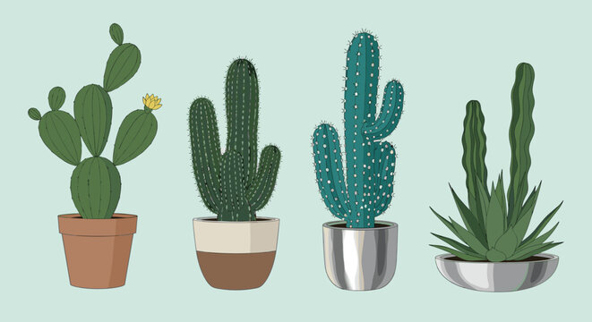 Selection of four tall and distinct cacti and succulent plants in decorative pots including prickly pear and tall column varieties.
