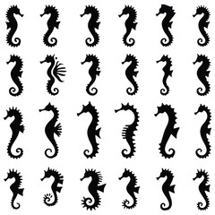Black seahorse silhouette collection, set of 24 marine animal vector icons, minimalist sea horse shapes for ocean branding and nautical design © Golam Rabbani
