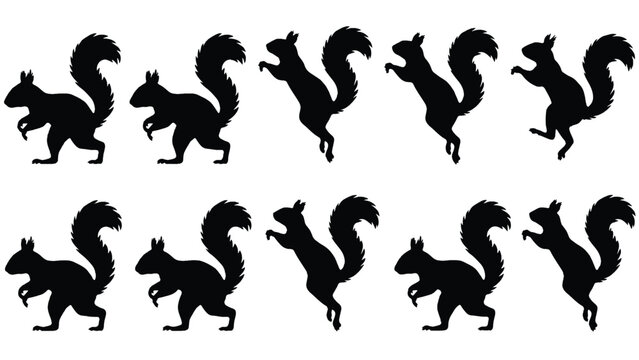 set of squirrel silhouettes in various poses on white background