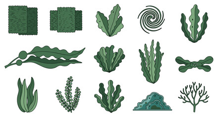 Various green leafy plant types. © Nb