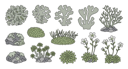 Various types of coral. © Nb