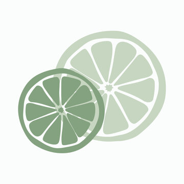 Two green lime slices, one larger and one smaller, with light and dark shades of green, citrus fruit cross-section illustration for fresh and healthy designs.