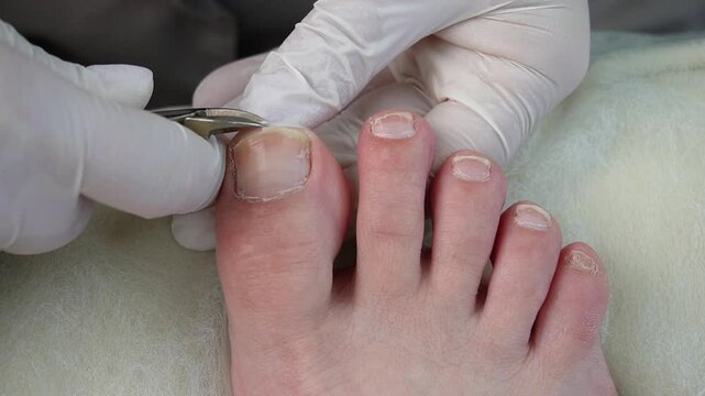A pedicurist trims a client's toenails with pedicure nippers in a salon