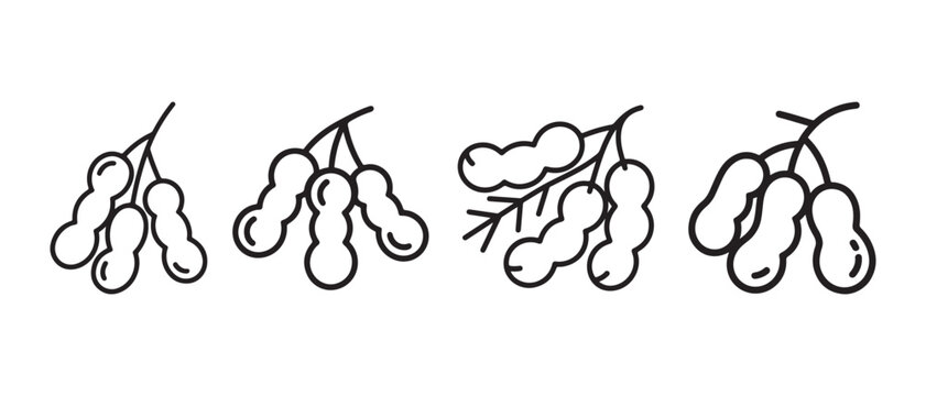 Set of hand drawn tamarind fruit icons with pods on stems in a simple black outline doodle style.