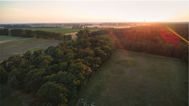 Aerial view of a forest and field landscape in the warm sunset