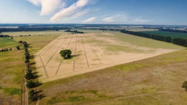 Aerial view of a vast field with a solitary tree in rural landscape