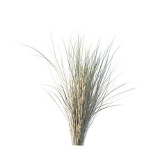 Fototapeta premium Grass bush isolated transparent background photo realistic 3d rendering PNG 16 bit with alpha channel 