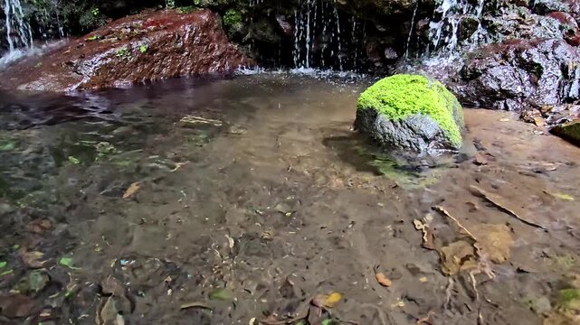 神奈川県箱根で撮影した千条の滝