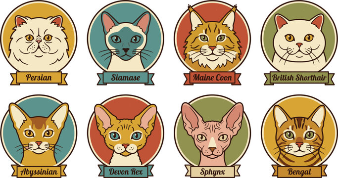 Vintage Retro Style Cat Breed Portrait Badges Featuring Persian Siamese Maine Coon British Shorthair Abyssinian Devon Rex Sphynx and Bengal Vectors