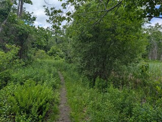 Fototapeta premium Peaks Island near Portland, Maine - June 2026