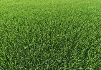 Obraz premium A seamless and vibrant close-up texture of freshly cut natural green lawn. Excellent for environmental concepts and outdoor product presentation, blade, lush, spring