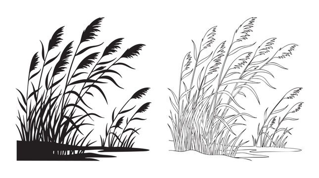 wheat illustration with detailed blades and rippling lines