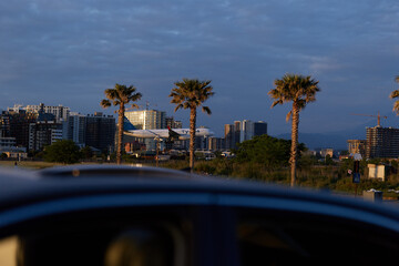 Obraz premium Urban cityscape with palms and highrise buildings under a dusky blue sky, a blurred car in the foreground creates a cinematic street mood at dusk.