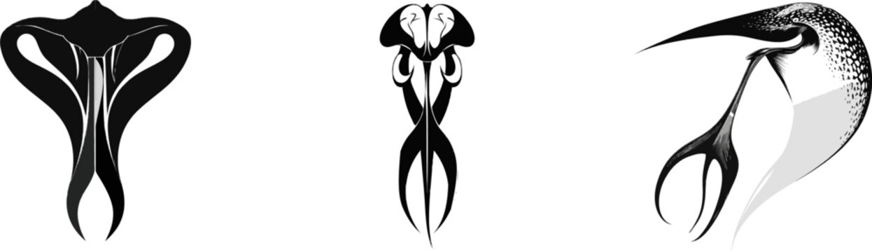 A striking Darlingtonia californica pitcher, resembling a cobra head with a split forked fanged leaf, is depicted in sharp black and white vector art against a solid white background