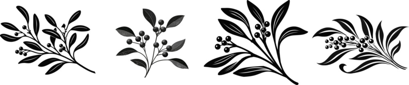 A minimalist winter mistletoe illustration features smooth oval leaves and small round berries in black and white, isolated on a pure white background