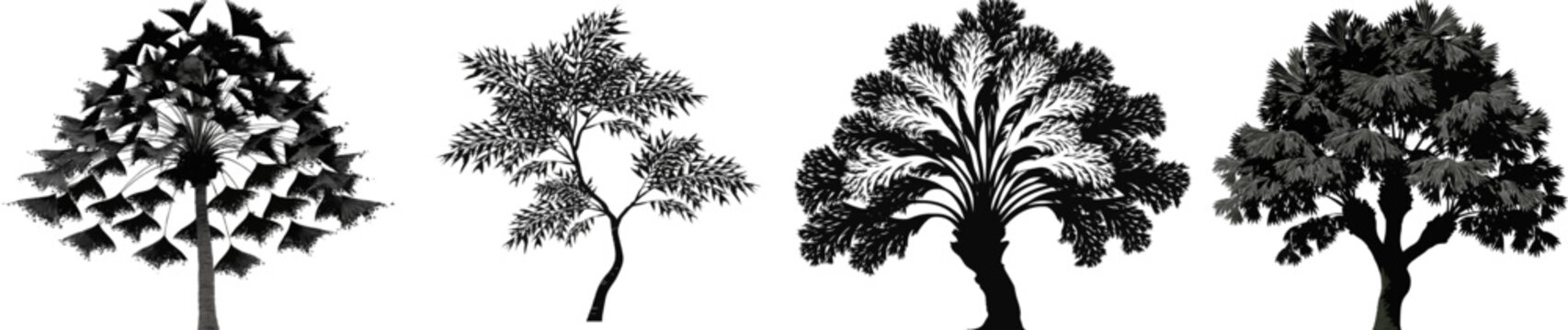 A Fishtail Palm tree with unique jagged, triangular leaf fronds that look like fish tails, rendered in black and white vector art against a clean crisp tropical botanical silhouette on a solid white