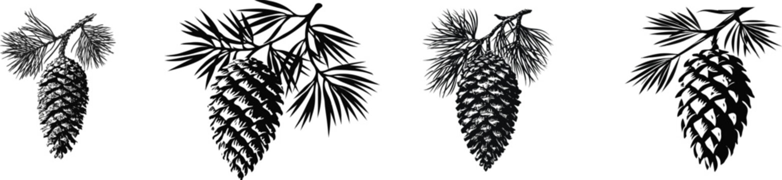 A heavy pine cone hangs vertically from a small branch of a coniferous tree in winter nature, rendered as a black and white vector graphic against a solid white background