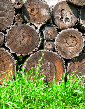 Stacked timber logs with visible tree rings and green grass